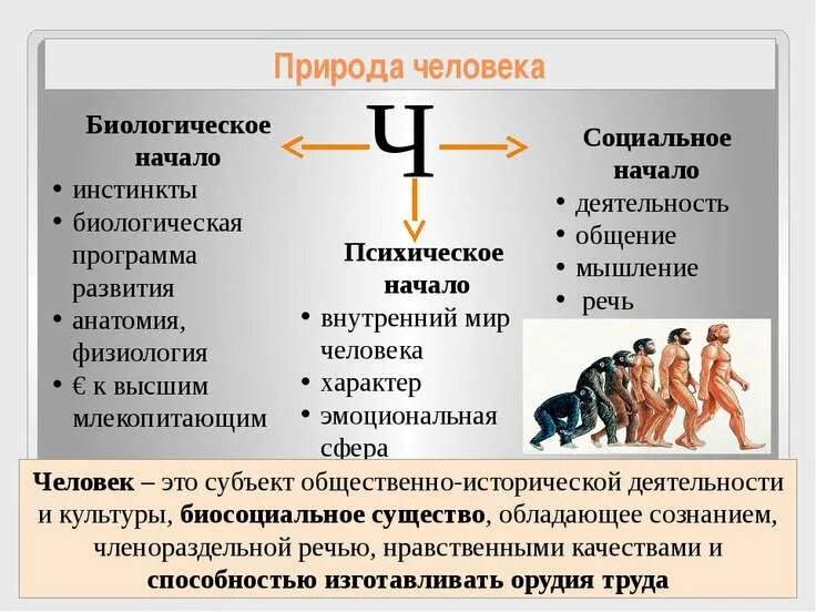 Когда инстинкты лгут. Биологическая и социальная природа человека. Небиологическая природа человека. Социальная природа человека это Обществознание. Биология социальная природа человека.