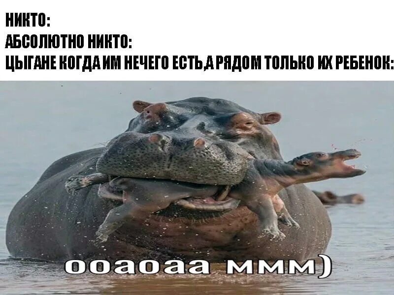 Джеки чан мем. Шо то фигня шо то фигня. Олоша мем. Молчать мем. Шо це за фигня.