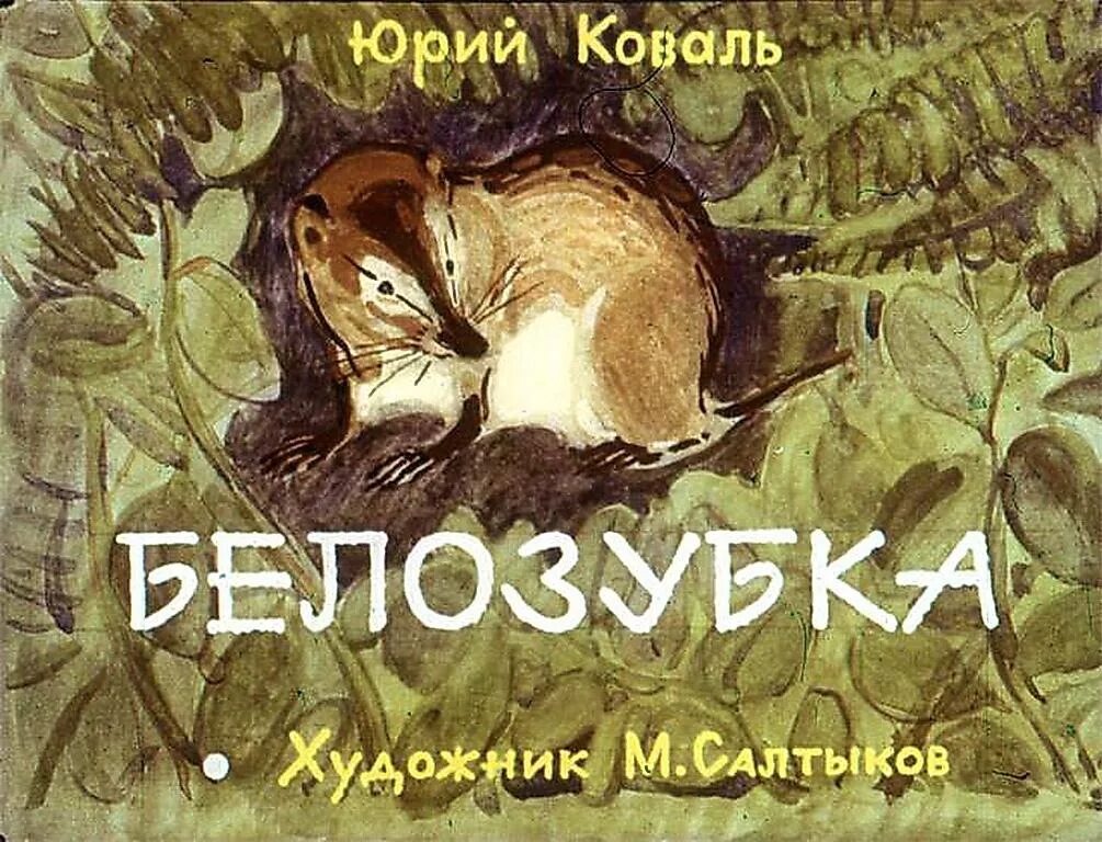 Ю коваль слушать. Коваля рассказ белозубка. Иллюстрация к сказке ю.Коваль белозубка. Диафильм белозубка (ю.Коваль).