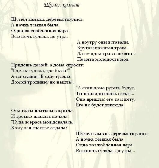 Частушки на татарском. Шумел камыш деревья гнулись текст. Шумел камыш текст песни. Слова песни шумел камыш. Шумел камыш песня текст.