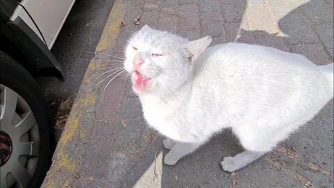 Angry much