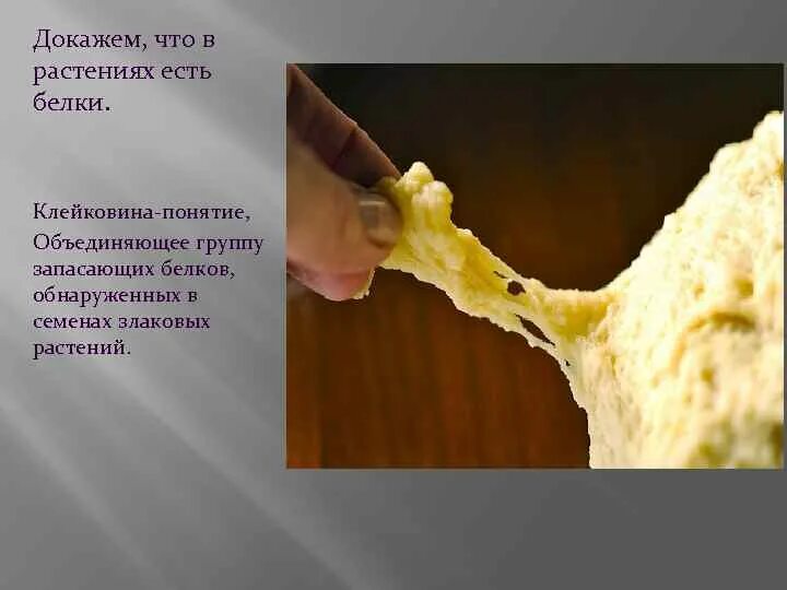 Белки свойства. Белки в тесте. Тест по теме белки 10 класс. Белки в тесте. Белки в тесте.