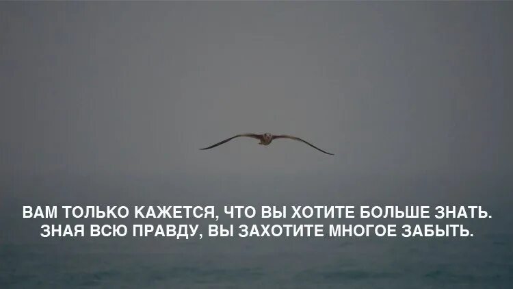 Вам только кажется. Мудрость с юмором. Все только кажется. Знаю забыл знаю не ждешь