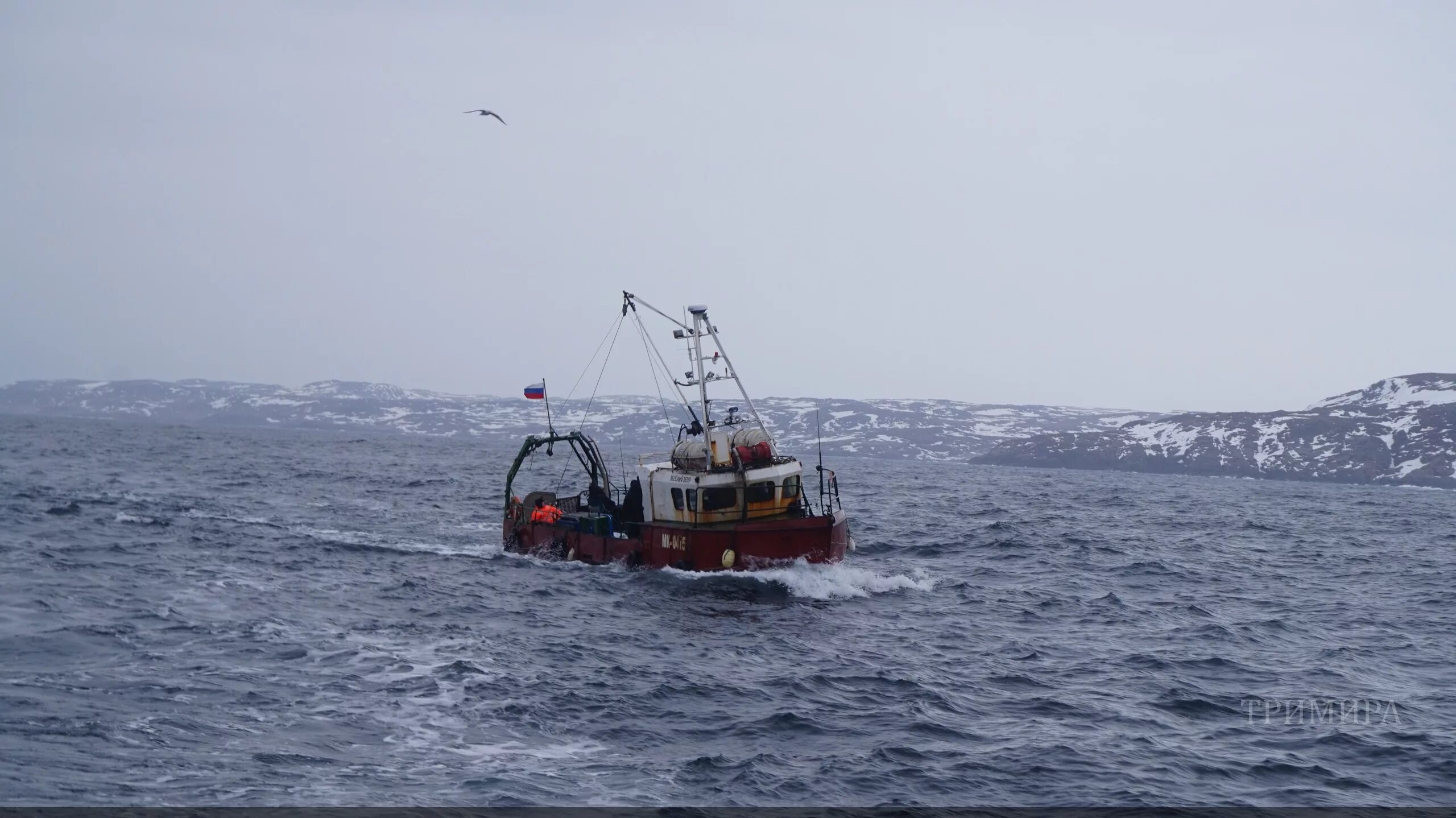 Англия ловила рыбу в баренцевом море. Морская рыбалка в Баренцевом море. Морская рыбалка Териберка. Морская прогулка Териберка Баренцево море.