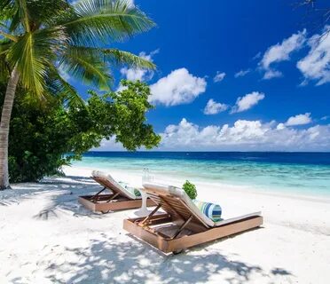 Holiday x
