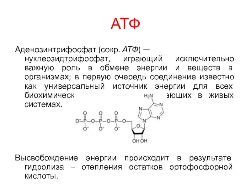 Строение молекулы АТФ. Химическая структура АТФ. Функции АТФ биохимия. Макроэргические нуклеозидтрифосфаты.