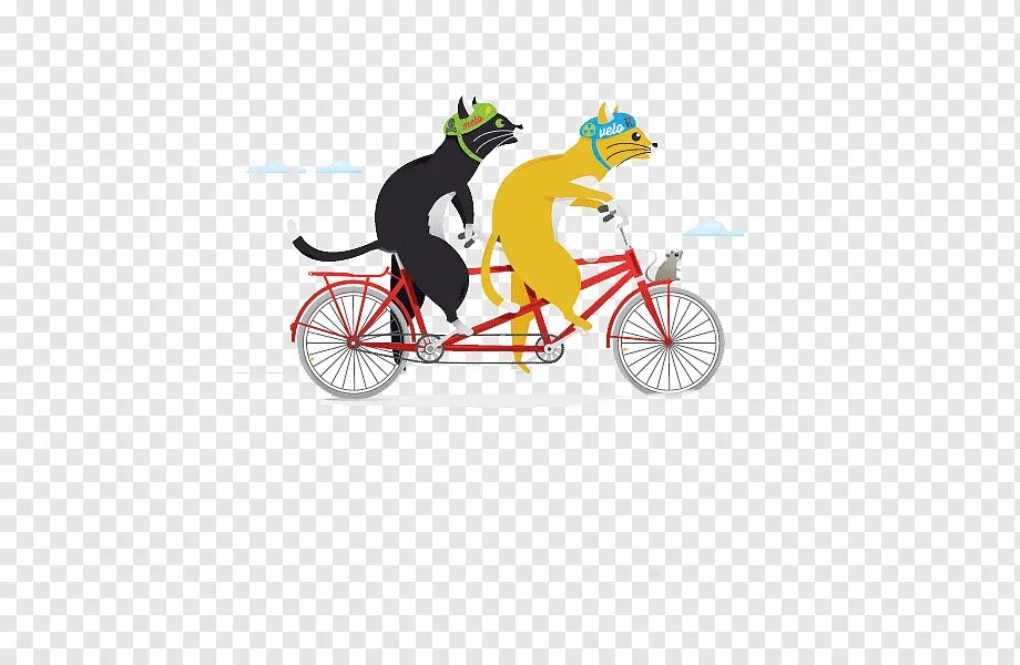 Cycling animals. Животные на велосипеде. Звери на велосипеде. Зверюшка на велосипеде. Велосипед вектор.