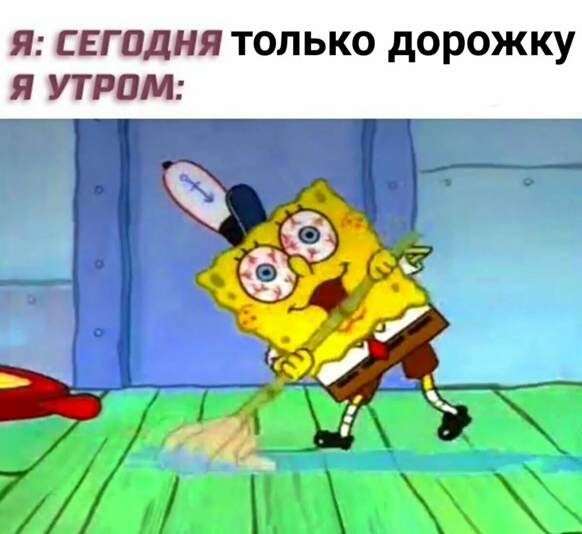 жизненный цикл человека. цикл жизни. когда проснулся вечером. шутки про гречку. ты высыпаешься куда высыпаюсь кот.