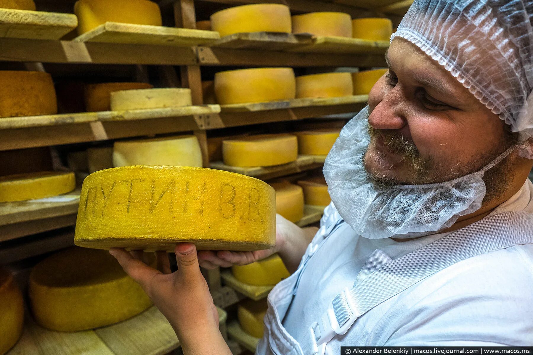 Сыроварня сироты Истра. Сыроварня Олега сироты.