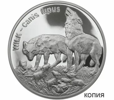 Монета серый волк