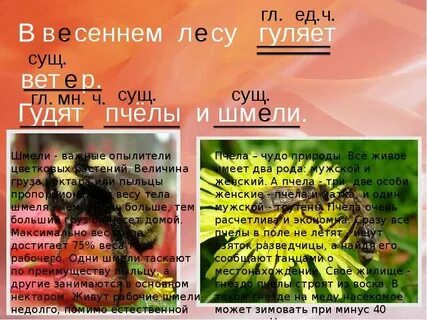 Пчела глагол