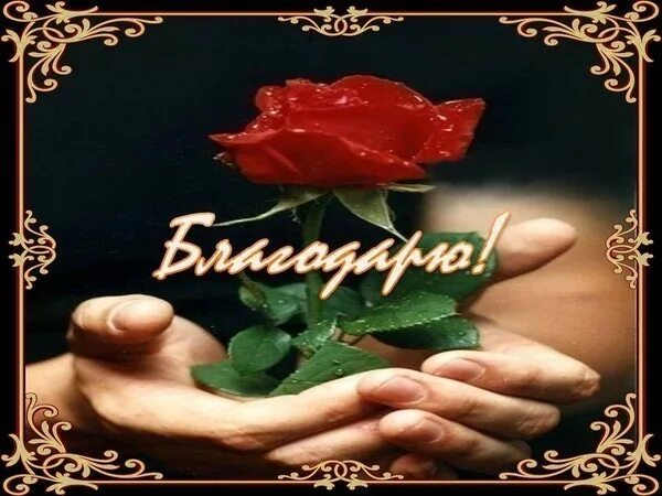 открытки спасибо благодарю. открытки спасибо большое мужчине. красивые открытки с благодарностью. благодарю мужики. открытки с благодарностью мужчине от мужчины.