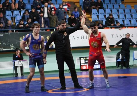Прямая трансляция вольная борьба чемпионат европы 2024