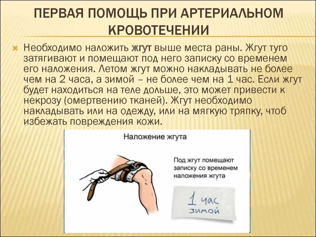 Максимальное время повторного наложения. Оказание первой медицинской помощи при артериальном кровотечении. Порядок ПМП при артериальном кровотечении. При оказании первой помощи при артериальном кровотечении необходимо. Оказание 1 помощи пострадавшему при артериальном кровотечении.