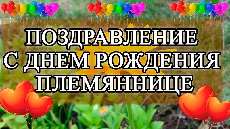 Племянница видео. С днём рождения племяннице. Поздравления с днём племяннице. Поздравить племянницу с днём рождения. Картинки с днём рождения племяннице.