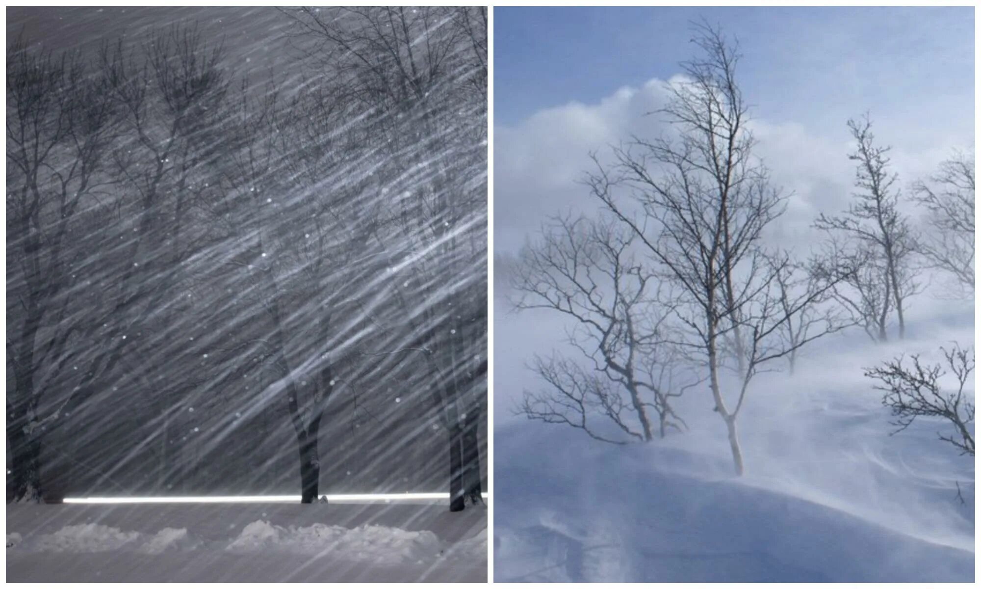 Метель. Метель явление природы. Метель и вьюга. Снегопад это явление природы.