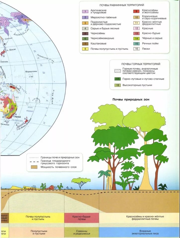 Почвенная карта школьного атласа дает. Атлас по географии 7 класс почвенная карта.