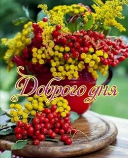 Пожелания здоровья и бодрости