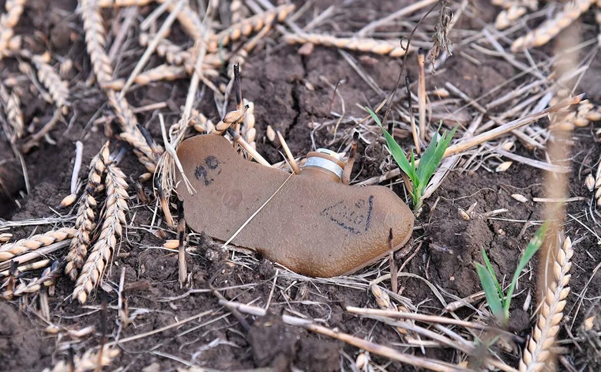Пфм-1 лепесток. Противопехотная мина лепесток пфм-1с. Мина лепесток замаскированная. Пфм-1 мина. Мина лепесток замаскированная.