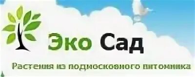 Интернет магазин сад 24 отзывы. Посадочный материал в интернет магазине. Интернет магазин сад 24 отзывы. Экосад 24 интернет магазин крым. Интернет магазин сад 24 отзывы.