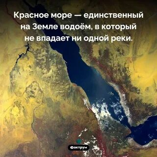 Это море не впадает ни одна река
