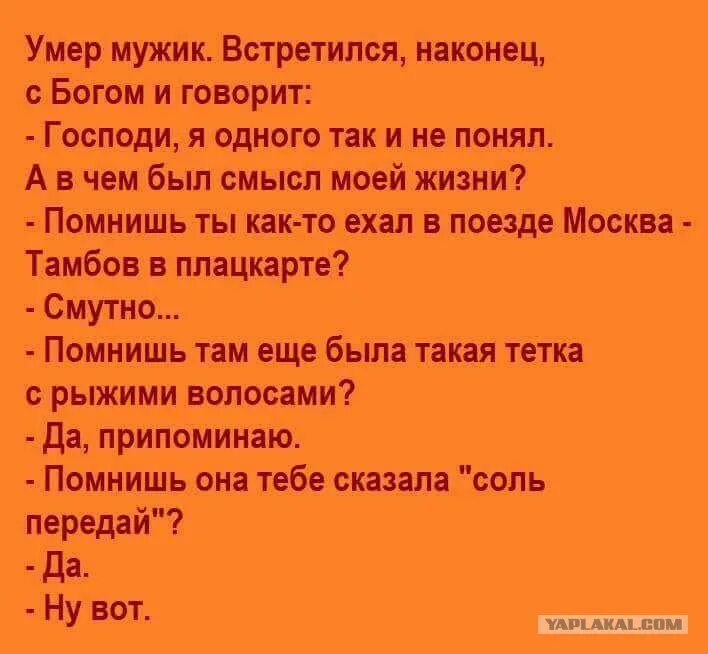 Смысл жизни анекдоты. Анекдоты про жизнь со смыслом. Шутки про жизнь. В чем смысл жизни анекдот. Анекдоты про жизнь смешные.