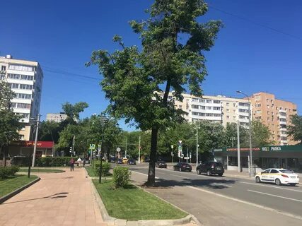 Улица эл