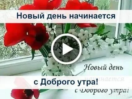 Видео для ватсап с добрыми пожеланиями