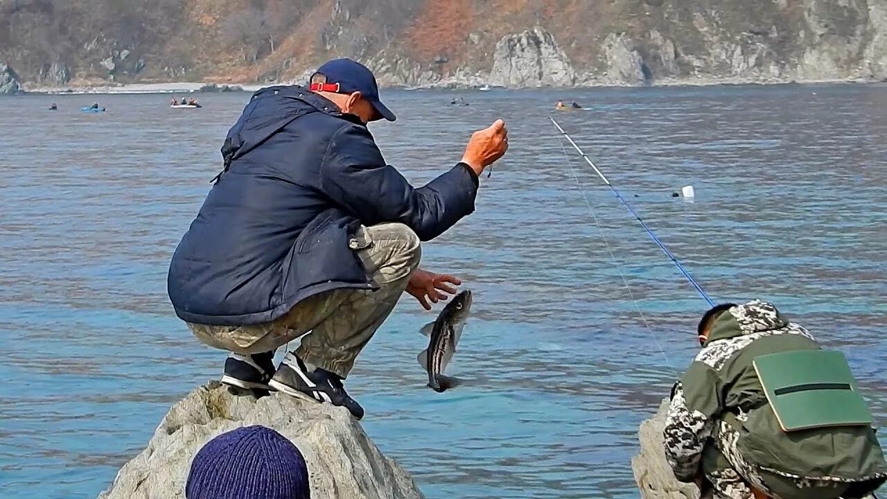 Морская рыбалка Приморский край. Ловля минтая в Приморье. Морская рыбалка в Приморском крае