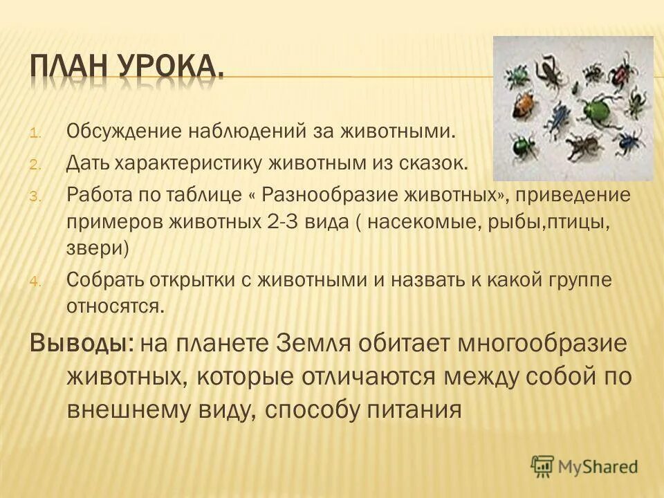 Особенности подтипа позвоночные. Животные характеристика. Особенности внешнего строения млекопитающих связанные со средой. Таблица насекомые 7 класс биология общая характеристика. Среды жизни млекопитающих.