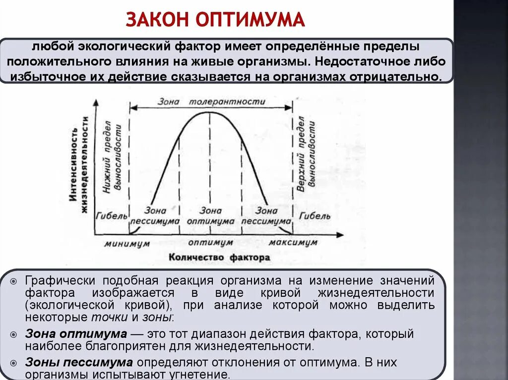 Закон оптимума это. Закон экологического оптимума. Закон оптимума и пессимума. Закон действия экологических факторов закон оптимума. Закон оптимума характеристика.