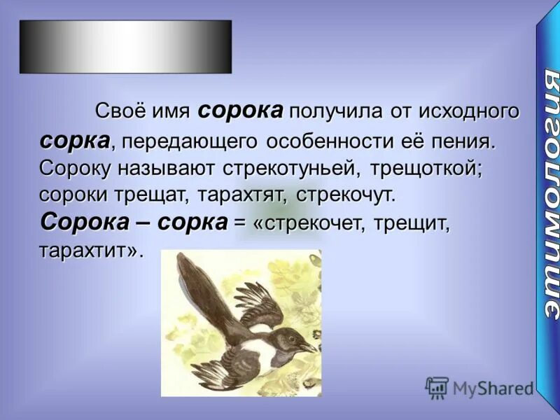Фразеологизм к слову дать стрекача. Задал стрекоча значение. Задал стрекоча значение. Текст вошел медведь в лес. Задал стрекача значение фразеологизма.