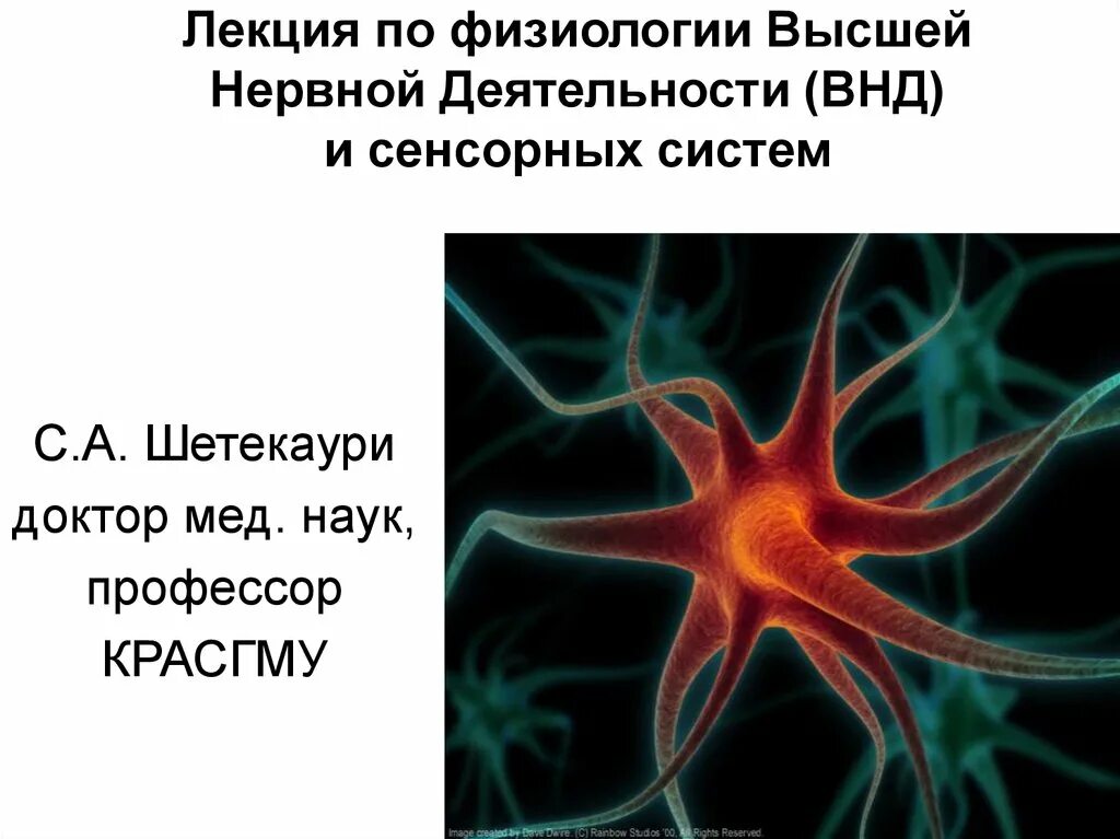 Физиология нервной деятельности. Физиология высшей нервной системы. Физиология ВНД. Физиология высшей нервной деятельности презентация. Что изучает физиология высшей нервной деятельности