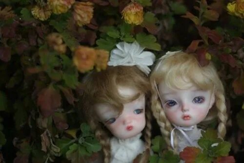 Куклы secretdoll. Secrets doll. Sharon baby секрет. Secret куклы. Secrets doll.