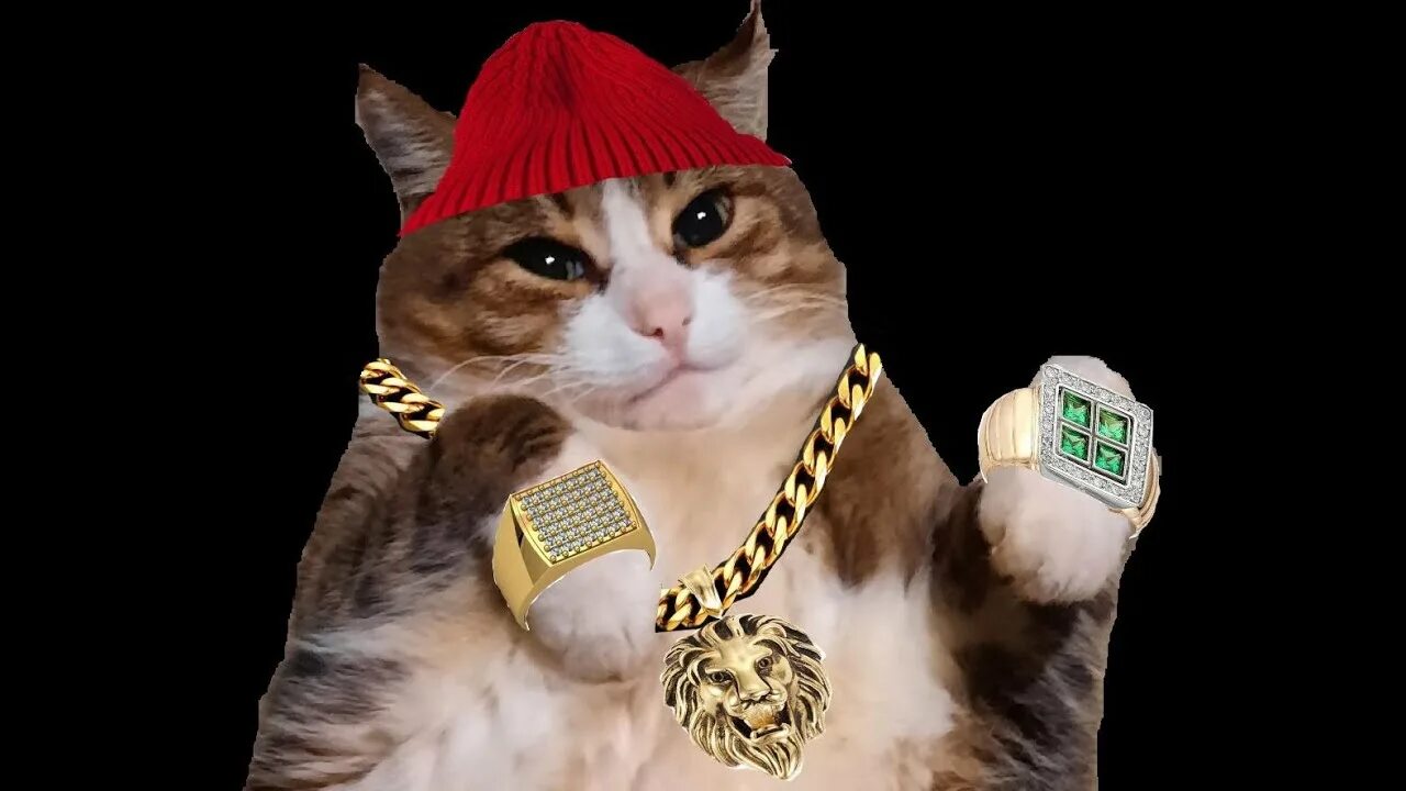 Песня про кота видео