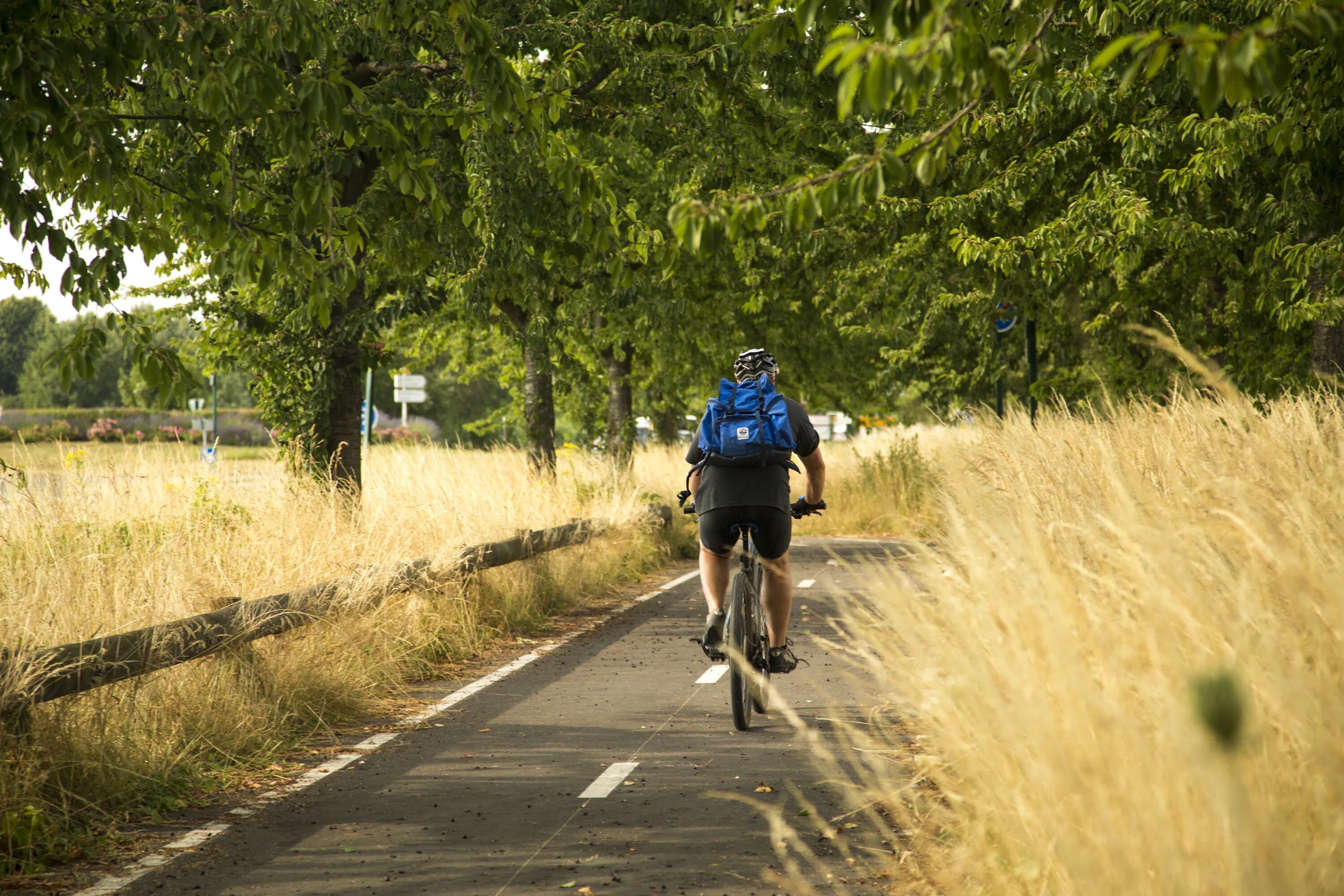 Bike way. Катание на велосипеде. Велосипедист. Велосипедная езда. Езда на Велике.