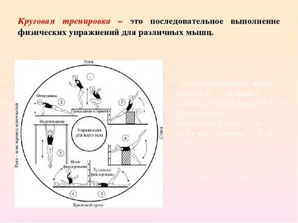 Течение минуты 5 упражнение на