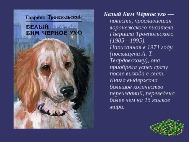 Ухо в книги рассказы. Г Троепольский белый Бим черное ухо. Повесть Троепольского белый Бим черное ухо. Автор рассказа белый Бим черное ухо. Троепольский белый Бим черное ухо краткое содержание.