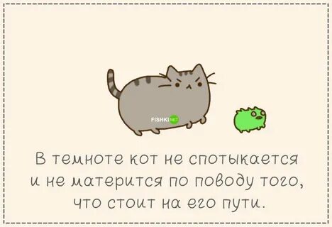 Вместо кота