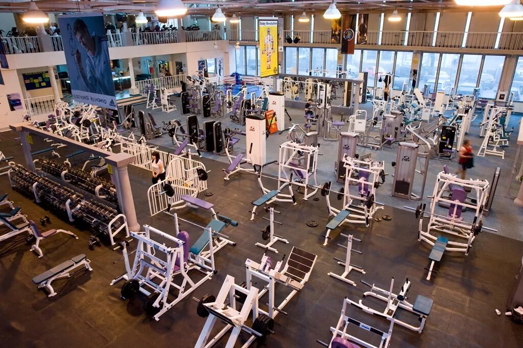 Голдс джим динамо. Голдс джим динамо. Swin & gym бассейн. Голдс джим динамо. Динамо джим.