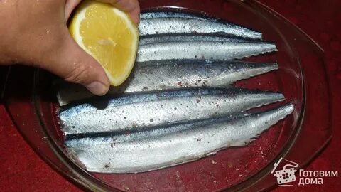 В какое время ловят сайру
