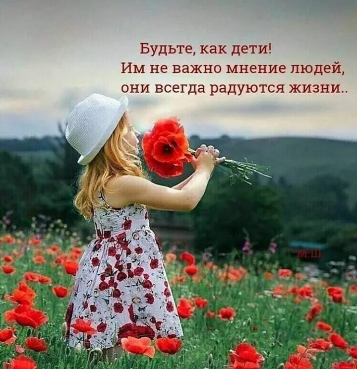 Радуйтесь картинки. Красивые добрые высказывания. Радуйтесь жизни. Желает доброго утра и радуйтесь жизни. Доброе утро жизнь.