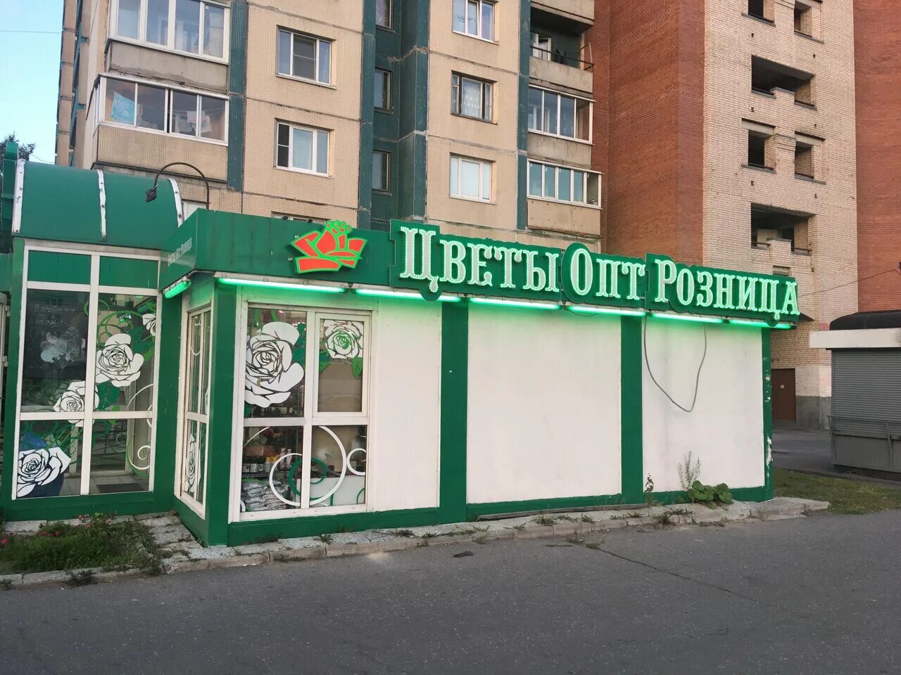витрина цветочного магазина. пр энгельса 139/21 лит а. цветыоптрозница спб. цветомания федора абрамова 4. цветыоптрозница.