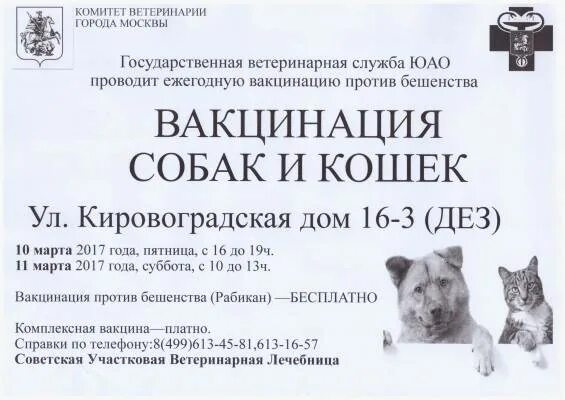 Прививка от бешенства собаке когда можно. Вакцинация собак и кошек. Собачья прививка от бешенства. Расценки прививки для собак от бешенства. Вакцины для собак и кошек.