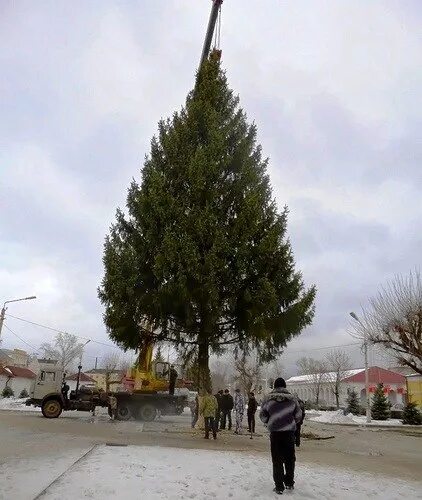 гостиница елки моршанск. моршанск новый год. елка в рассказово на площади. елка в рассказово на площади. новогодняя елка моршанск.