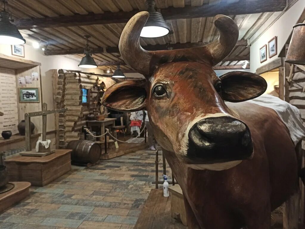 музей сыра кострома официальный сайт. кострома музей сыра корова. музей сыра ул чайковского 19. музей сыра ул чайковского 19. музей сыра ул чайковского 19.