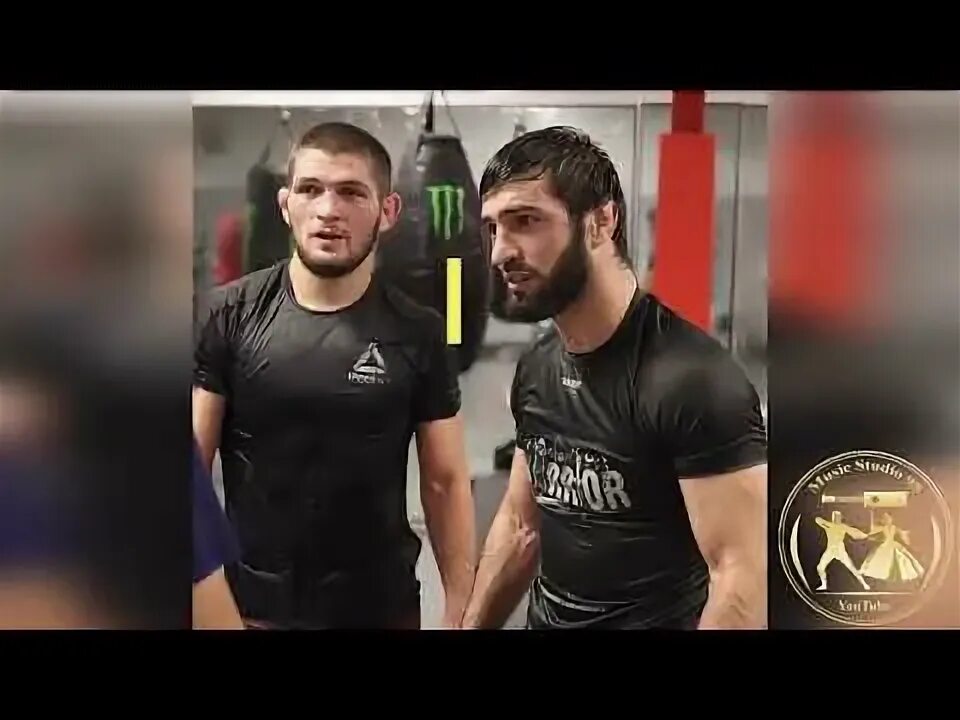 Друг мой иди и не сдавайся. Эсед друг хабиба. Цитаты волка. Душа волка. Песня друг мой иди вперед и не сдавайся.