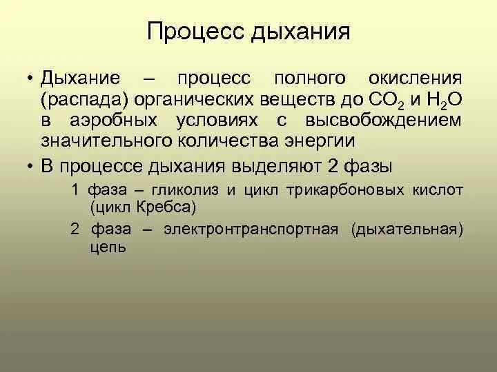 Получение энергии бактериями. Сравнительная характеристика брожения и дыхания. Взаимосвязь брожения и дыхания. Взаимосвязь процессов брожения и дыхания. Процессы дыхания и брожения источник энергии.