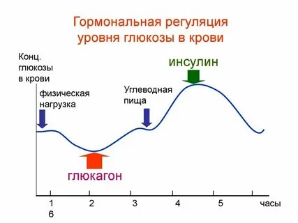 Гормон снижающий уровень сахара