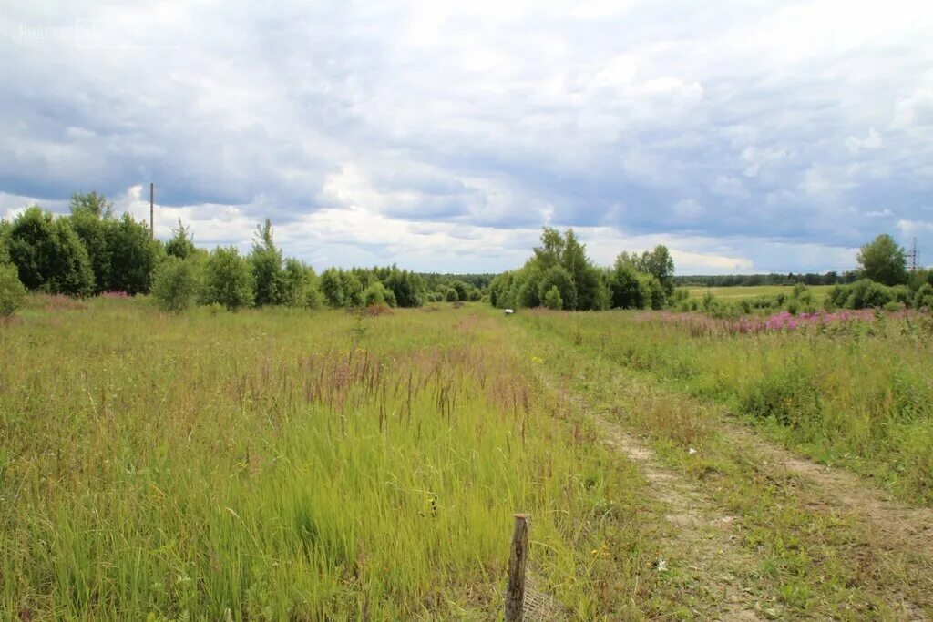 участок 40 соток